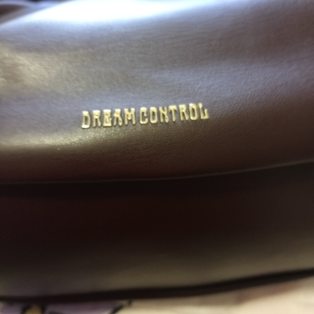 Dream Control - image 4